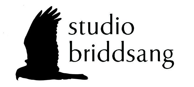 Studio Briddsang